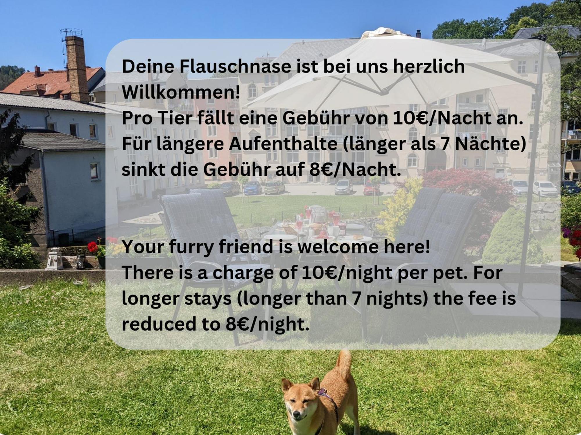 Ut - Urlaubsmagie - Urlaubstraum Mit Whirlpool, Pool & Sauna Sebnitz Exterior foto